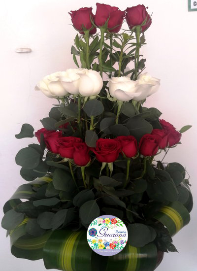 Catalogo Rosas